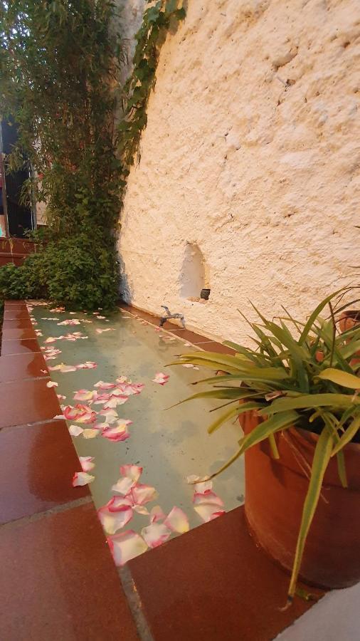 Casa Bambu Apartment Granada Ngoại thất bức ảnh