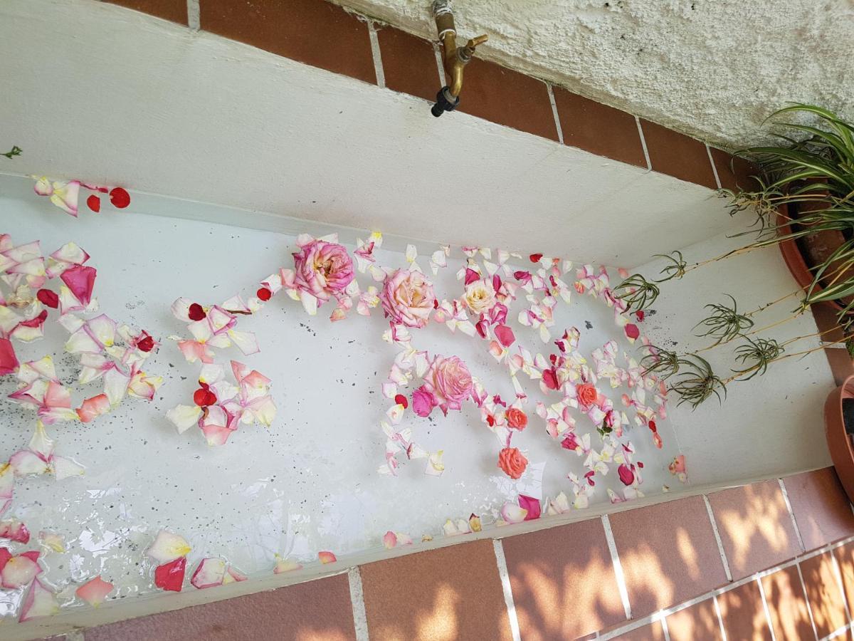 Casa Bambu Apartment Granada Ngoại thất bức ảnh